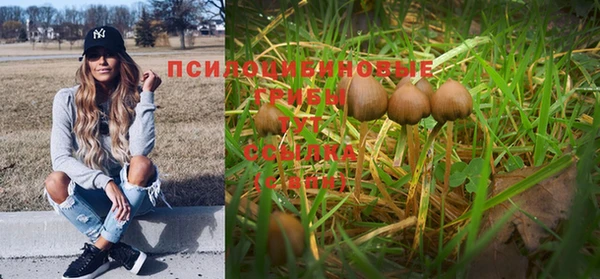 дистиллят марихуана Богородицк