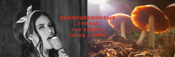 ешки Богородск