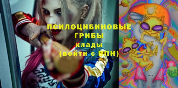ешки Богородск